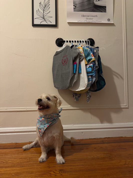 PawPipe - Custom Wall-Mounted Pet Clothing Hanger